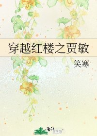 穿越紅樓之賈敏