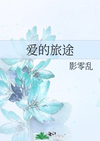 《爱的旅途》
