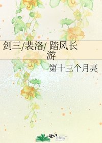 《劍三/裴洛/ 踏風長遊》
