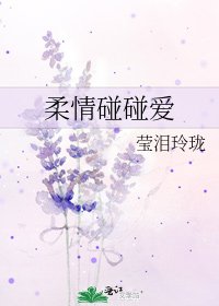 《柔情碰碰愛》