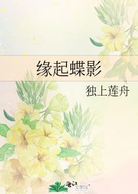 缘起蝶影