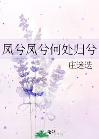 凤兮凤兮何处归兮