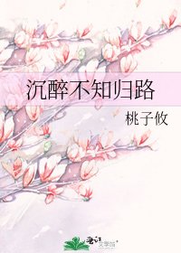 沉醉不知归路