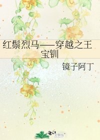 紅鬃烈馬——穿越之王寶釧