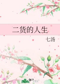 二货的人生