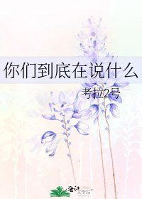 你们到底在说什么