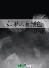 如果风有颜色