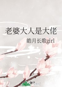 《老婆大人是大佬》