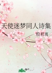 《天使迷夢同人詩集》