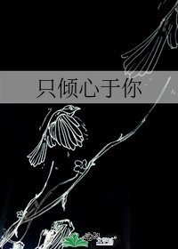 《只倾心于你》