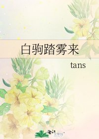 《白驹踏雾来》