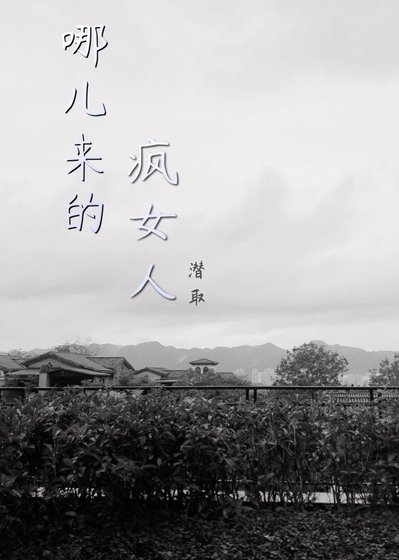 哪儿来的疯女人