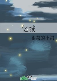忆城