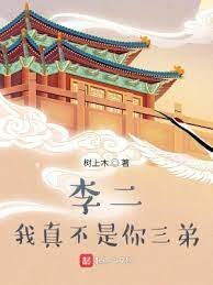 《家兄李世民》