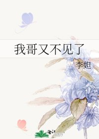 《我哥又不見了》