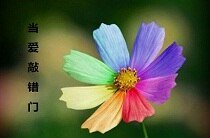 当爱敲错门