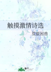 《触摸激情诗选》