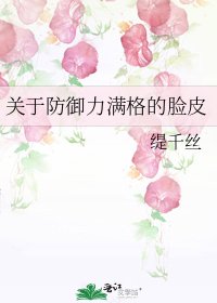 《关于防御力满格的脸皮》