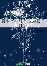 《真少爺在綜藝成為豪門團寵》