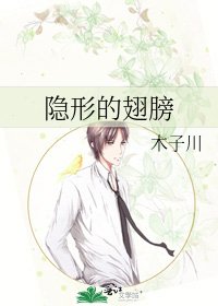 《隱形的翅膀》