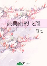最美丽的飞翔