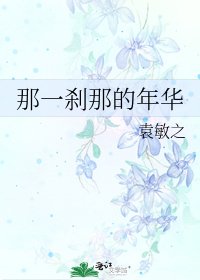 那一刹那的年华