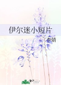 伊尔迷小短片