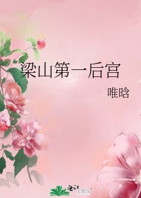 《梁山第一后宫》