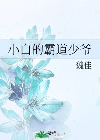 小白的霸道少爷