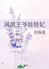 《风流王爷娃娃妃》