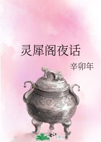 灵犀阁夜话