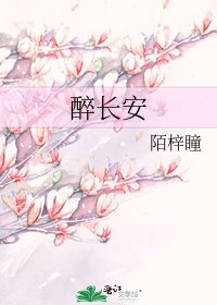 醉长安