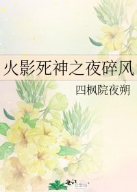 《火影死神之夜碎風》