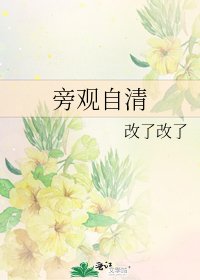 旁觀自清