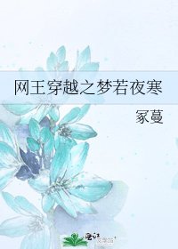 网王穿越之梦若夜寒