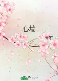 心墙