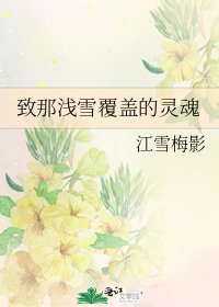 《致那浅雪覆盖的灵魂》
