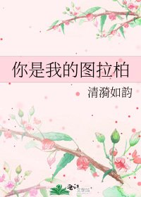 《你是我的图拉柏》