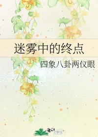 迷雾中的终点