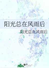 阳光总在风雨后