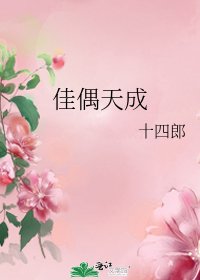 佳偶天成