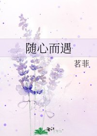 随心而遇
