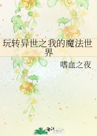 《玩转异世之我的魔法世界》
