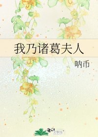 《我乃诸葛夫人》