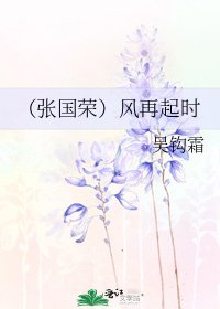 《(張國榮)風再起時》