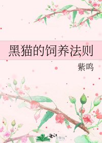 《黑猫的饲养法则》