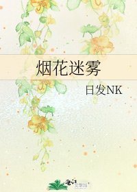 烟花迷雾