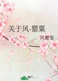 《关于风-罂粟》