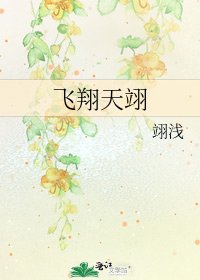 《飞翔天翊》