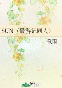 SUN(最游记同人)